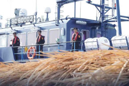 99 Ton Rotan Hendak Diekspor Secara Ilegal ke Malaysia