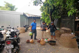 Polsek Bae Grebek Arena Sabung Ayam di Desa Panjang