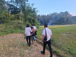 Grebek Arena Judi Sabung Ayam di Rantepaku, 1 Orang Ditangkap