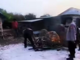 Grebek Sabung Ayam Tanpa Tangkap Pelaku, Polres Gresik Tak Serius Berantas Perjudian