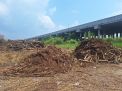 Limbah Pabrik Kayu Bantu Ekonomi Warga