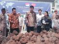PT Probolinggo Big Power Ekspor Tepung Porang ke Cina