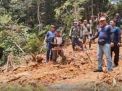 Pemodal Perusakan Hutan di Taman Nasional Bukit Tigapuluh Segera Disidangkan