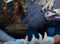 Gakkum KLHK Serahkan Tersangka Jual Beli Kulit Harimau kepada Kejati Jambi