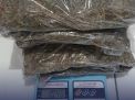 Bea Cukai, BNNP, dan Polda Sulsel Gagalkan Peredaran Ganja