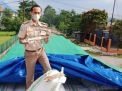 Ribuan Kilogram Ikan Kering Diekspor Ke Timor Leste