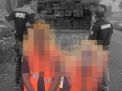 Tersangka Kasus Ilegal Loging Di Kabupaten Wajo Terancam Hukuman Penjara 5 Tahun