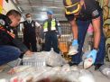 Satgaspam TNI AL Bandara Juanda Menggagalkan Penyelundupan Baby Lobster Senilai Rp 8 Miliar