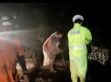 Polisi Bersama TNI dan Warga Bersihkan Material Longsor di Magetan, Jalur Wisata Sarangan Kembali Normal