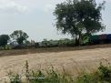 Muncul Galian C Ilegal Di Desa Kambingan Gresik