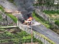 Organisasi Papua Merdeka Bunuh Warga Sipil