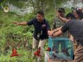 Penadah Jaringan Perdagangan Satwa Liar Dilindungi Antar Pulau di Makassar Terancam Penjara 5 tahun Penjara