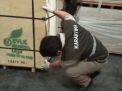 India Minati Kayu Lapis Asal Jawa Timur