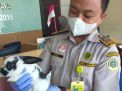 Peluang Budidaya Kelinci New Zealand, Diminati Warga Nusa Tenggara Timur