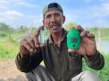 Kelompok Nelayan Megaluh Buat Hutan Bantaran Untuk Kembangkan Ekowisata