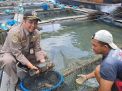 Kerapu Kepulauan Riau Jadi Primadona Hidangan Laut di Hong Kong