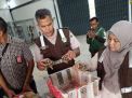 Kura kura Sulcata dan Bearded Dragon Dilarang Dikirim lewat Bandara