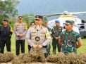 Kapoldasu dan Pangdam Bukit Barisan Memimpin Operasi Perburuan Ladang Ganja