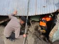 2 Korban Longsor di Humbang Hasundutan Berhasil Dievakuasi