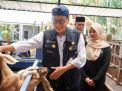 Bukti Keberhasilan P4S Lurisae Purworejo