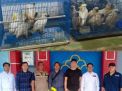 Kasus Pengangkutan ean Perdagangan Burung Ilegal Siap Disidangkan