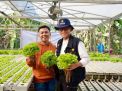 Kepala BPPSDMP Kementan Kunjungi Petani Milenial Pasuruan