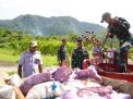 Pinang Asal Papua Nugini Dimusnahkan Karantina