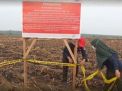 Lahan PTPN VII Cinta Manis Disegel