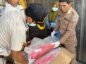Bernilai Fantastis, Puluhan Ton Tuna Loin Beku Rutin Ekspor ke Vietnam