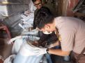 Ratusan Kilogram Madu Tujuan Malaysia Berangkat dari Riau