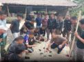 Operasi bersama Gakkum KLHK dan Polda Banten Tangkap 6 Pelaku Perburuan Satwa Liar