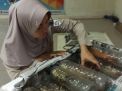 Udang Ronggeng Konawe Favorit Masyarakat Jakarta