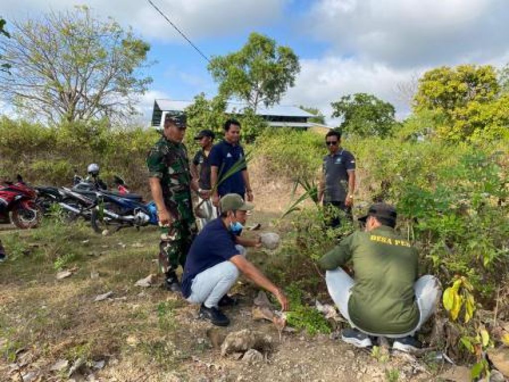 Penanaman puluhan pohon Kelapa Hibrida