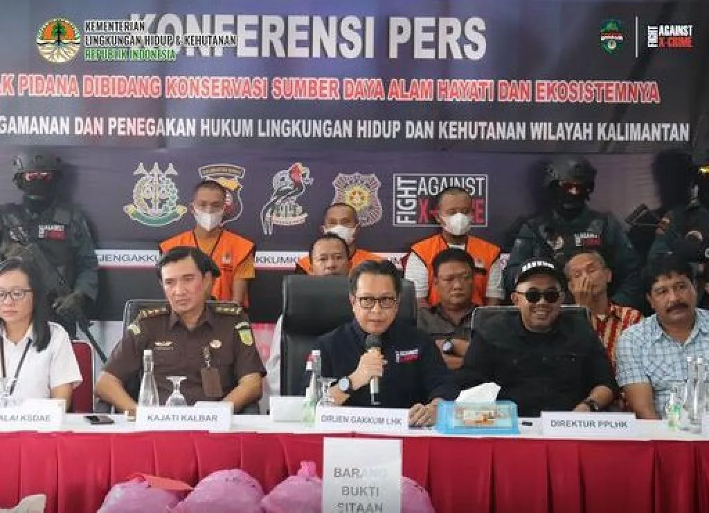 Gakkum KLHK Tangkap 3 Pelaku Perdagangan Sisik Trenggiling di Pontianak