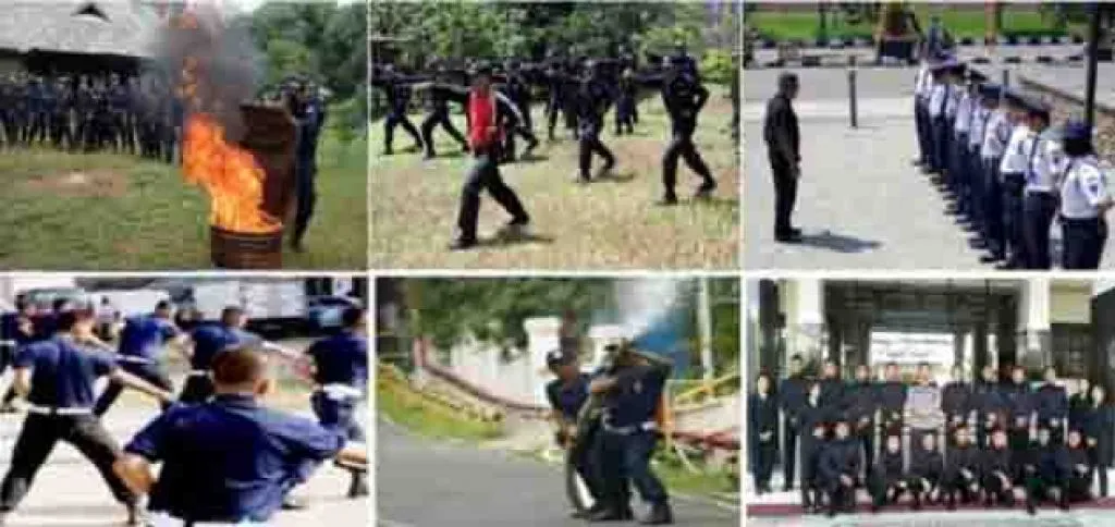 Butuh Jasa Tenaga Kerja, Hubungi PT Dwi Rosindo Indonesia