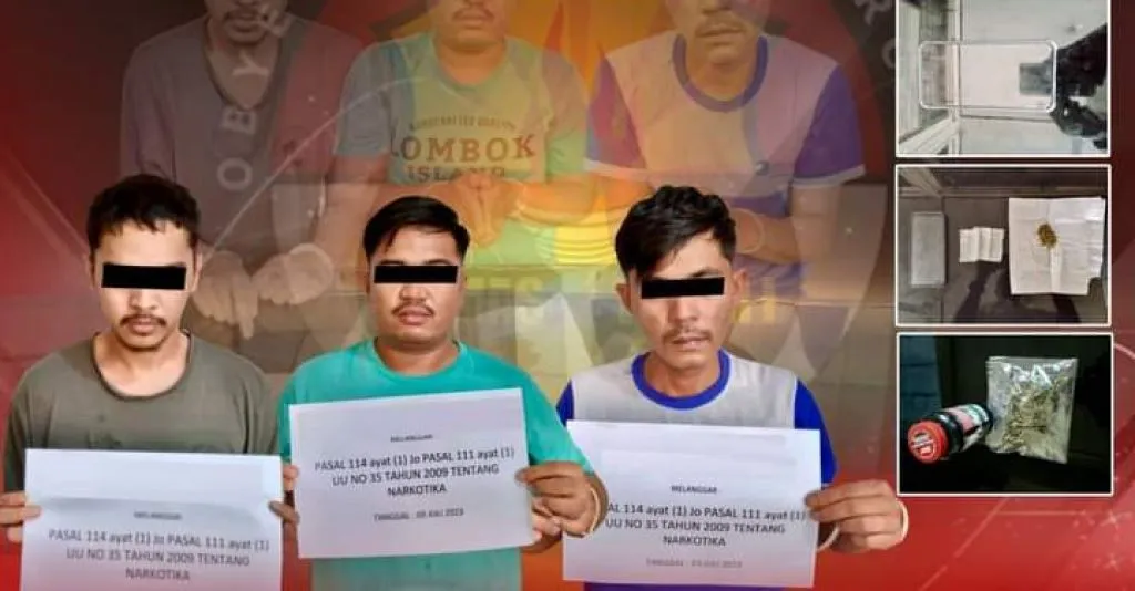 Miliki Ganja, Tiga Sekawan Asal Bulakan Balai Kandi Ditangkap Polisi