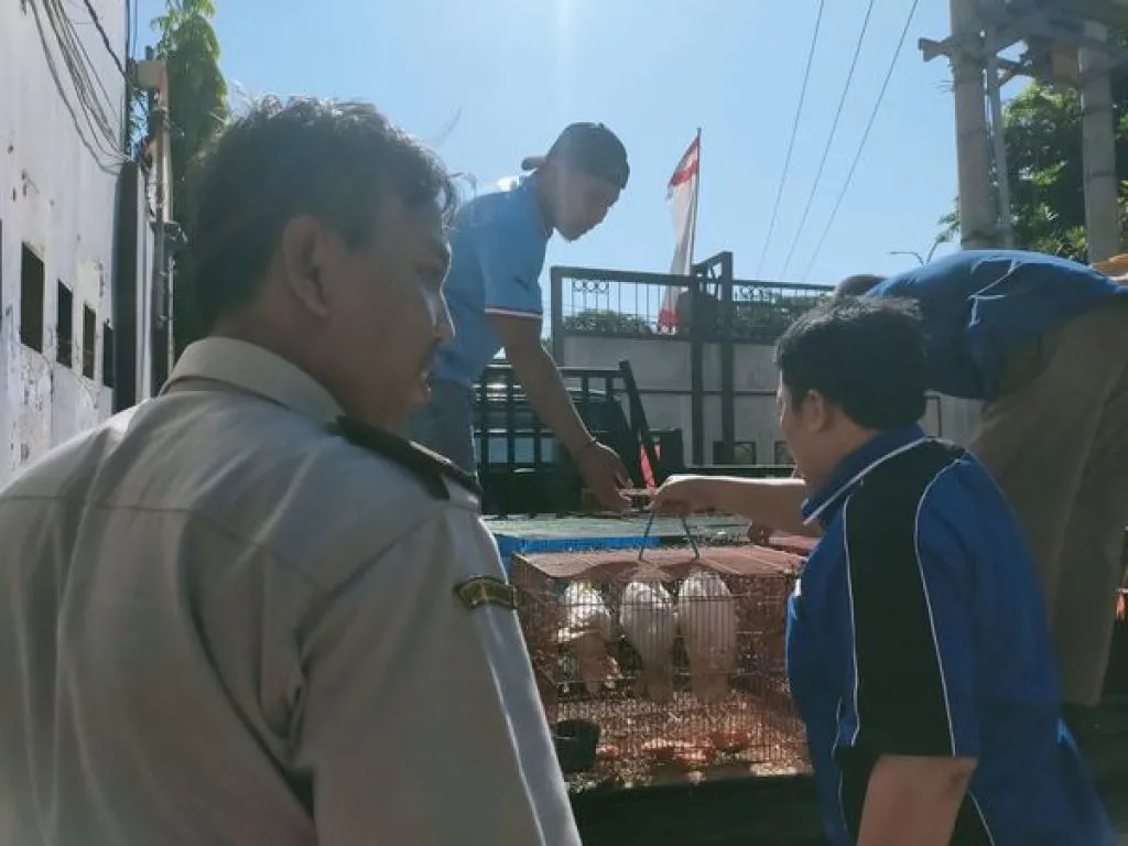 Modus Penyelundupan Burung di Dalam Paralon