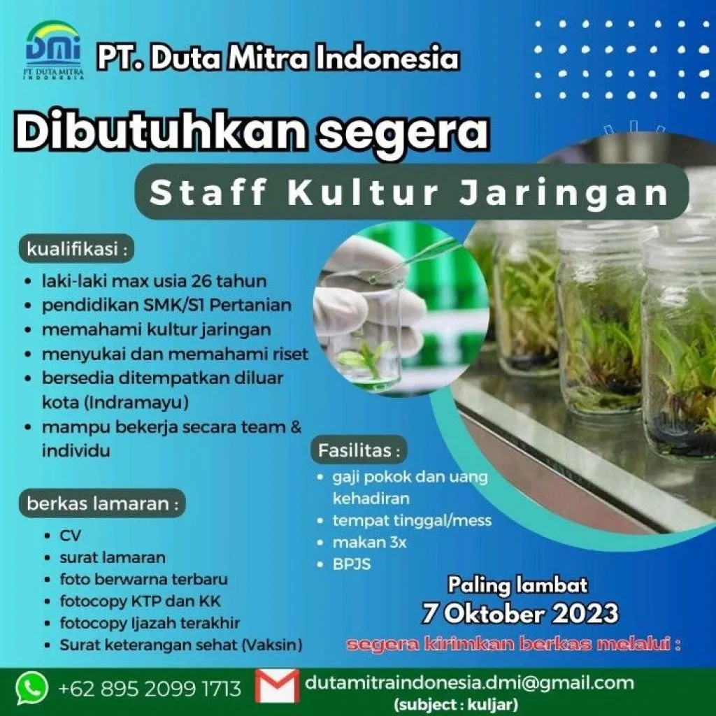 PT Duta Mitra Indonesia Butuh Staf Kultur Jaringan