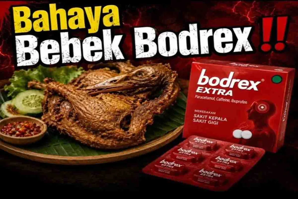 Bahaya Bebek Dimasak dengan Bodrex