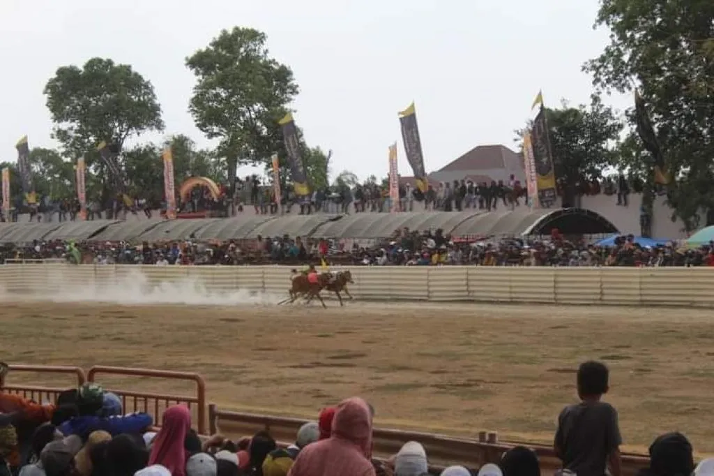 Mengenal Gagak Rimang, Juara 1 Karapan Sapi Piala Presiden 2023 di Bangkalan