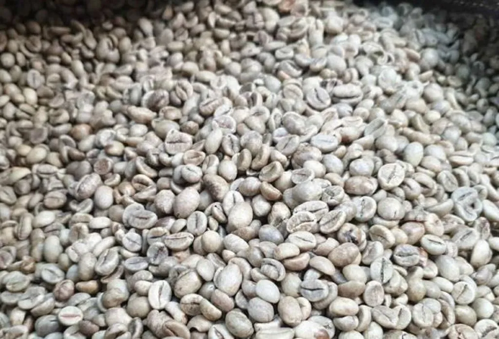 39,6 Ton Kopi dari Jawa Timur Diekspor ke Mesir