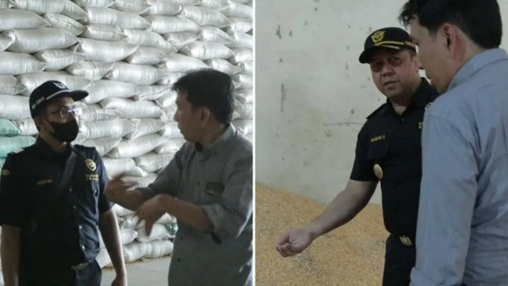 Pemusnahan Jagung Pipil di Bea Cukai Tanjung Perak
