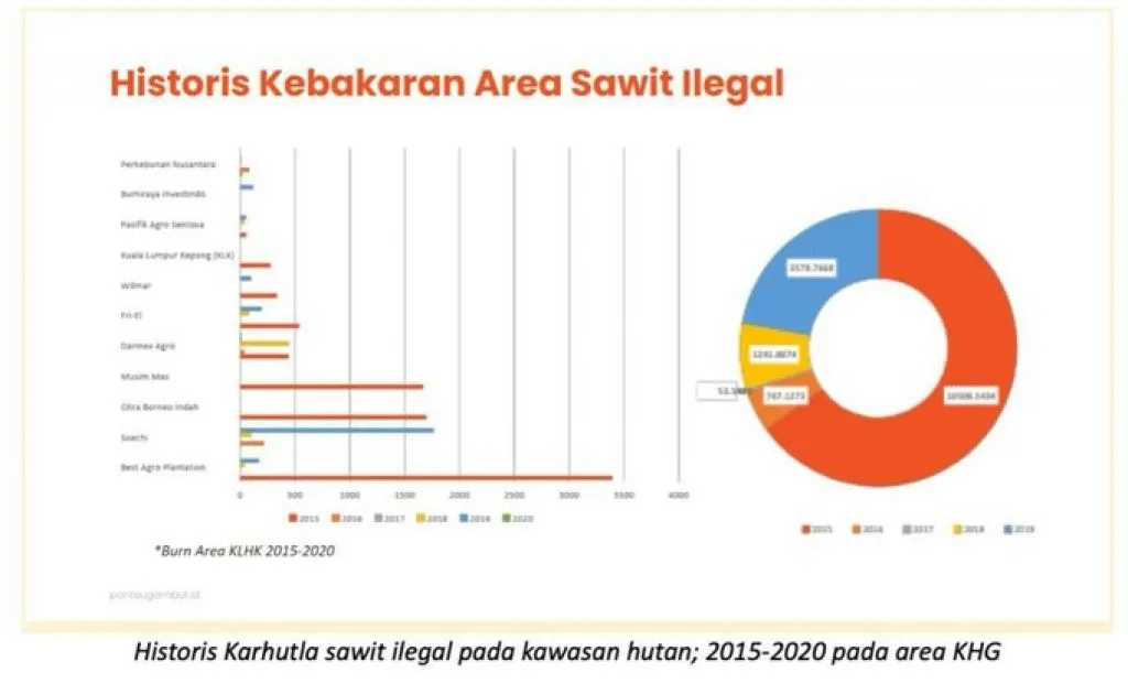 Pemutihan Kebun Kelapa Sawit Jadi Praktik Buruk Pengelolaan Lingkungan Hidup