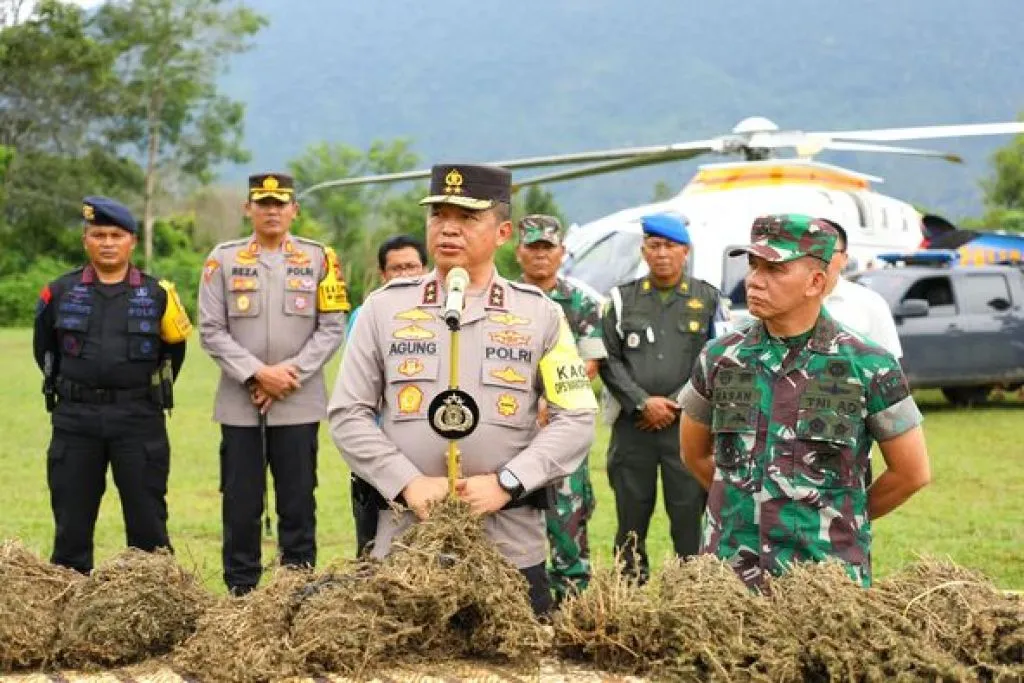 Kapoldasu dan Pangdam Bukit Barisan Memimpin Operasi Perburuan Ladang Ganja