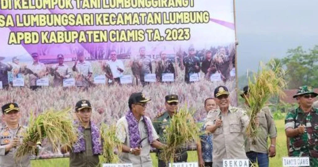 Wakapolres Ciamis Hadiri Panen Budidaya Padi Ramah Lingkungan di Desa Lumbung