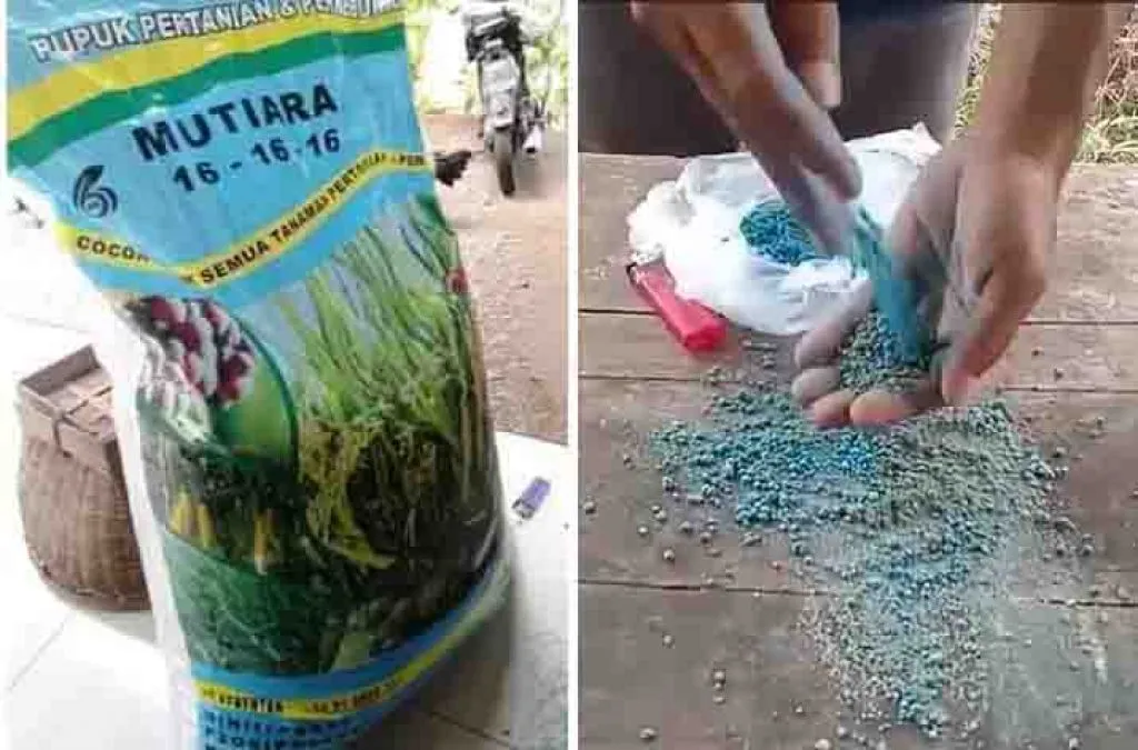 Pupuk Merk Mutiara Menghebohkan Warga Desa Watuagung