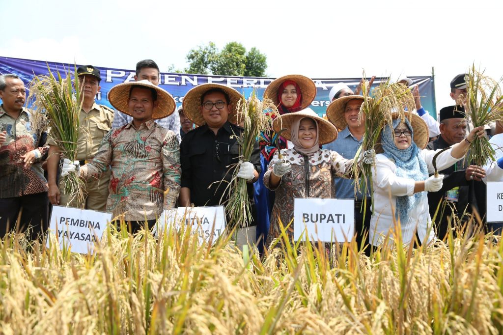 Panen raya HKTI