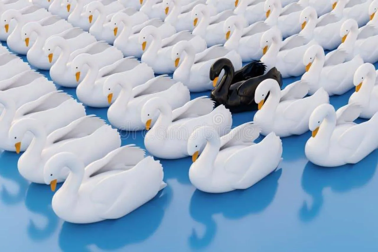 Black Swan Effect
