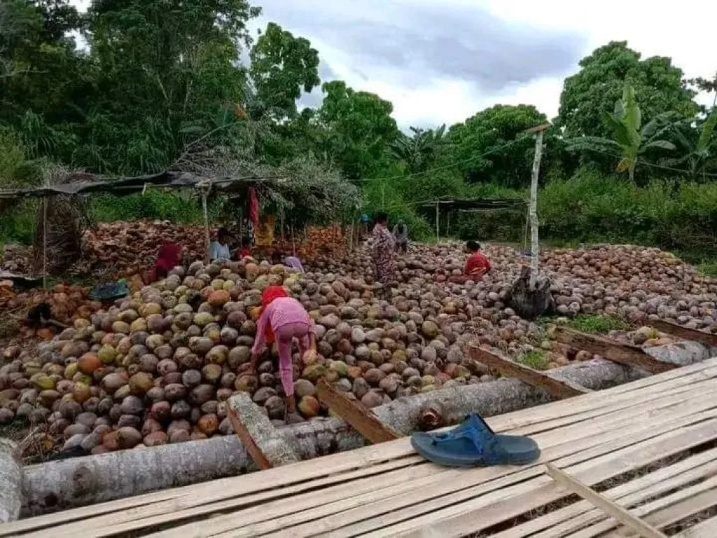 Solusi Cerdas, Limbah Kelapa Didaur Ulang Menjadi Barang Bernilai Ekonomis