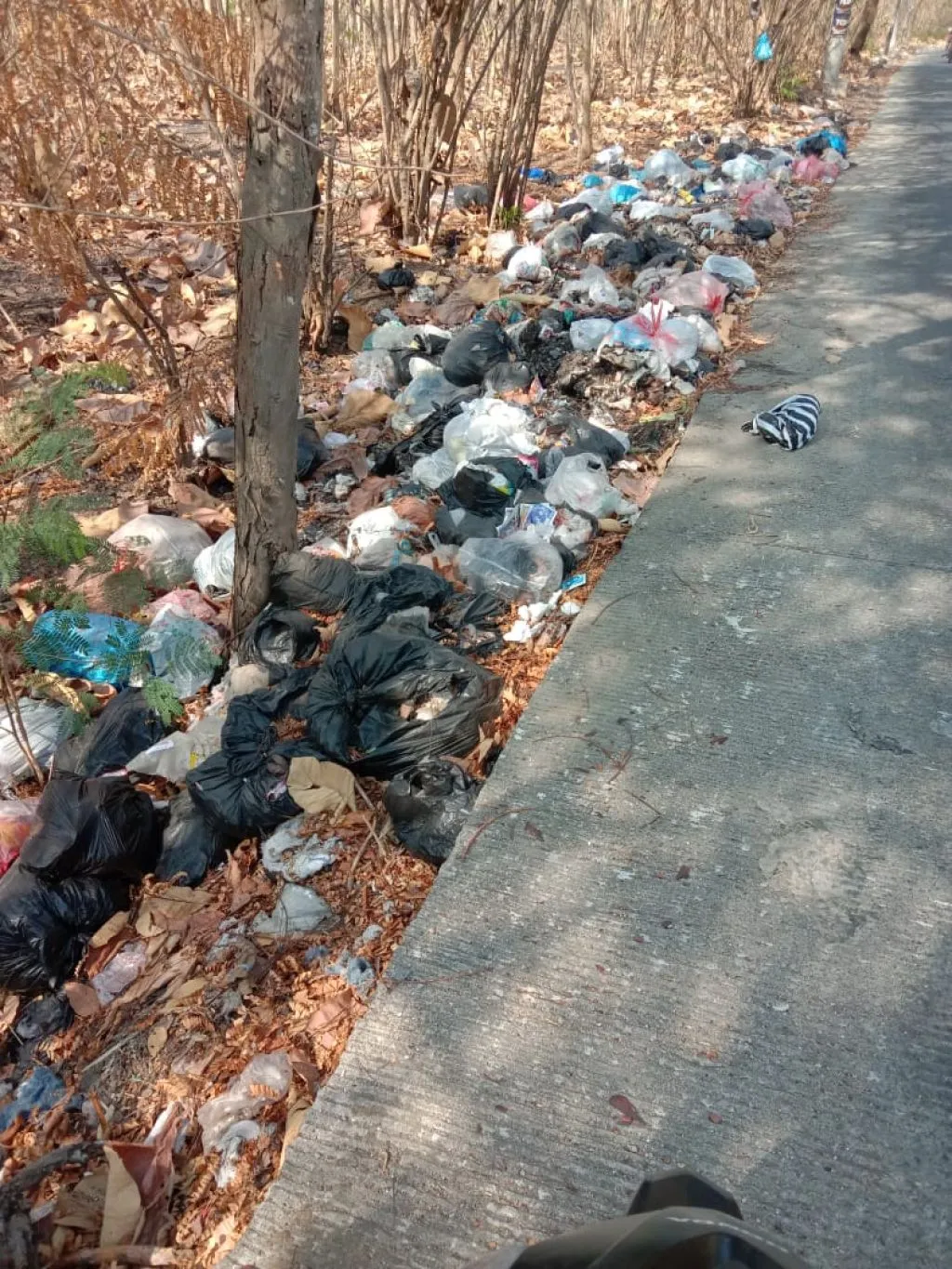 Sampah Menumpuk Di Tepi Jalan Desa Pucuk, Aroma Tidak Sedap Menyeruak